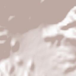 Camaiore Terrain Map