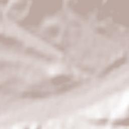 Pervomayskoye Terrain Map