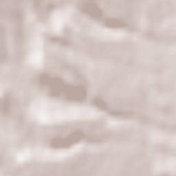 Saint-Michel-l’Observatoire Terrain Map