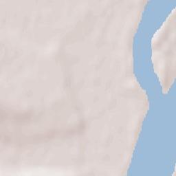 Dunavtsi Terrain Map