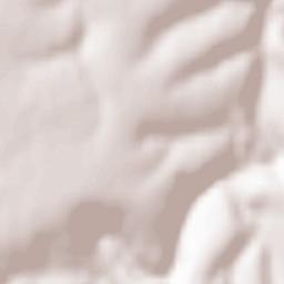 Obshtina Alfatar Terrain Map