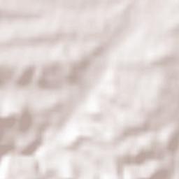 Nezhinskiy Terrain Map