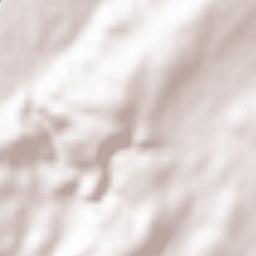 Saint-Bauzille-de-Putois Terrain Map