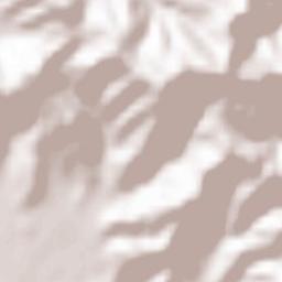 Massarosa Terrain Map