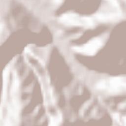 Voljevac Terrain Map