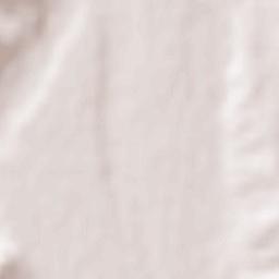 Storozhevaya Terrain Map