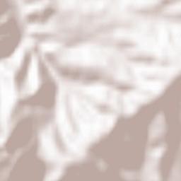 Sant'Agata Feltria Terrain Map