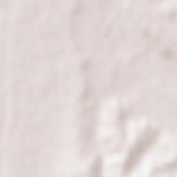 Kardonikskaya Terrain Map