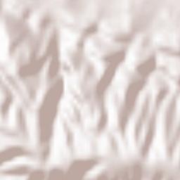 Oppède le Vieux Terrain Map