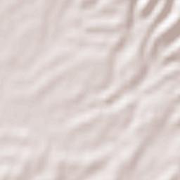 Lamporecchio Terrain Map