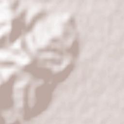 Rosciano Terrain Map