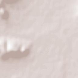 Calvisson Terrain Map