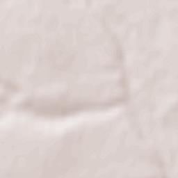 Conţeşti Terrain Map