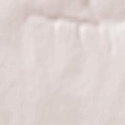 Albeşti Terrain Map