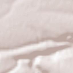 Obshtina Dimovo Terrain Map