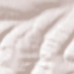 Nizhniy Kurkuzhin Terrain Map