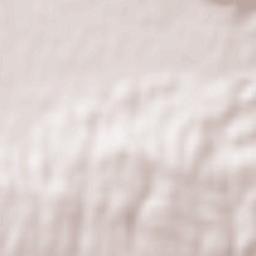 Fontvieille Terrain Map