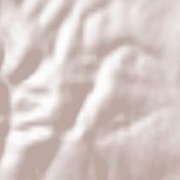 Tomislavgrad Terrain Map