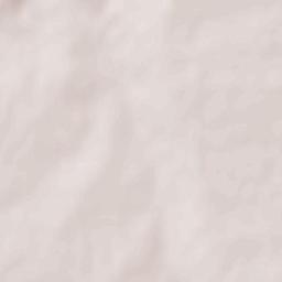 Obshtina General Toshevo Terrain Map