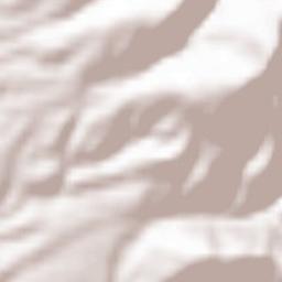 Reggello Terrain Map