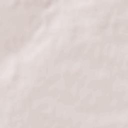 General Toshevo Terrain Map