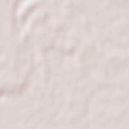 Znamenskoye Terrain Map