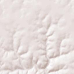 Houston County Terrain Map