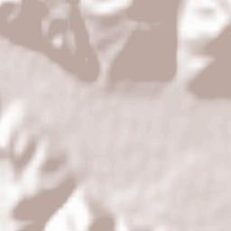 Trstenik Terrain Map