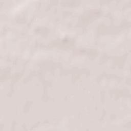 Obshtina Belene Terrain Map