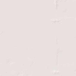 Mount Pleasant Terrain Map