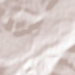 San Lorenzo in Campo Terrain Map