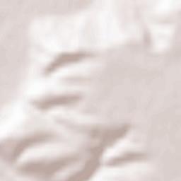 Obshtina Dolna Mitropolia Terrain Map