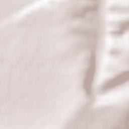 Obshtina Tsenovo Terrain Map