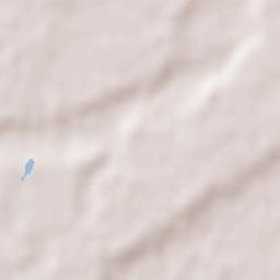 La Salvetat-Saint-Gilles Terrain Map