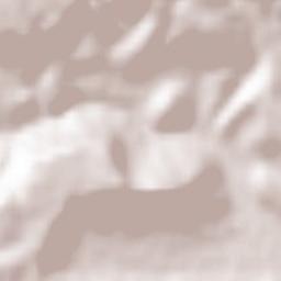 Salernes Terrain Map