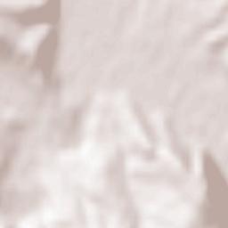 Knjazevac Terrain Map