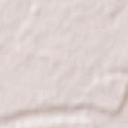 Fonsorbes Terrain Map