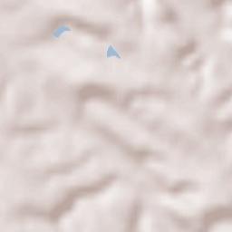 Auriac-sur-Vendinelle Terrain Map