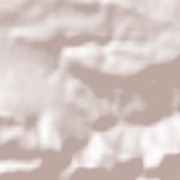 Bagnols-en-Forêt Terrain Map