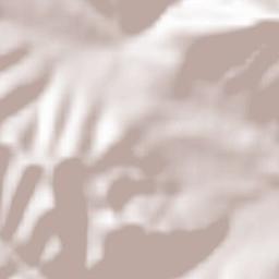 Chuprene Terrain Map