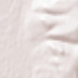 Razdol’noye Terrain Map