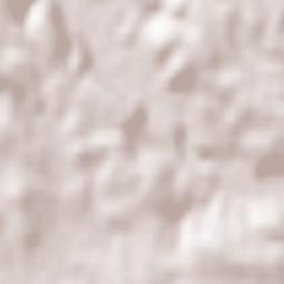 Trans-en-Provence Terrain Map