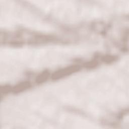 Labastide-Beauvoir Terrain Map