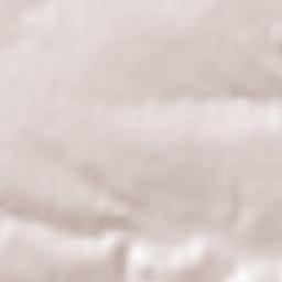 Obshtina Montana Terrain Map