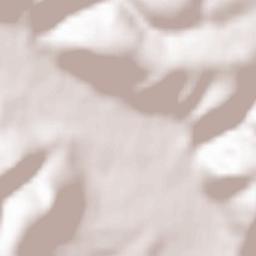 Obshtina Opaka Terrain Map