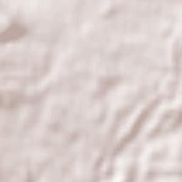 Saint-Maximin-la-Sainte-Baume Terrain Map