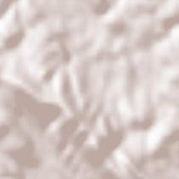 Le Thoronet Terrain Map