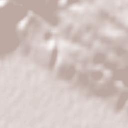 Donji Vinjani Terrain Map