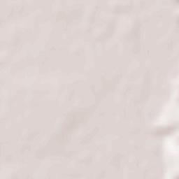 Obshtina Levski Terrain Map