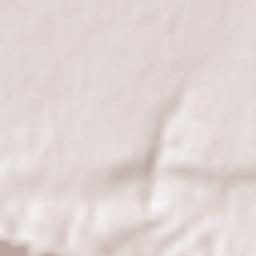 Tolstoy-Yurt Terrain Map